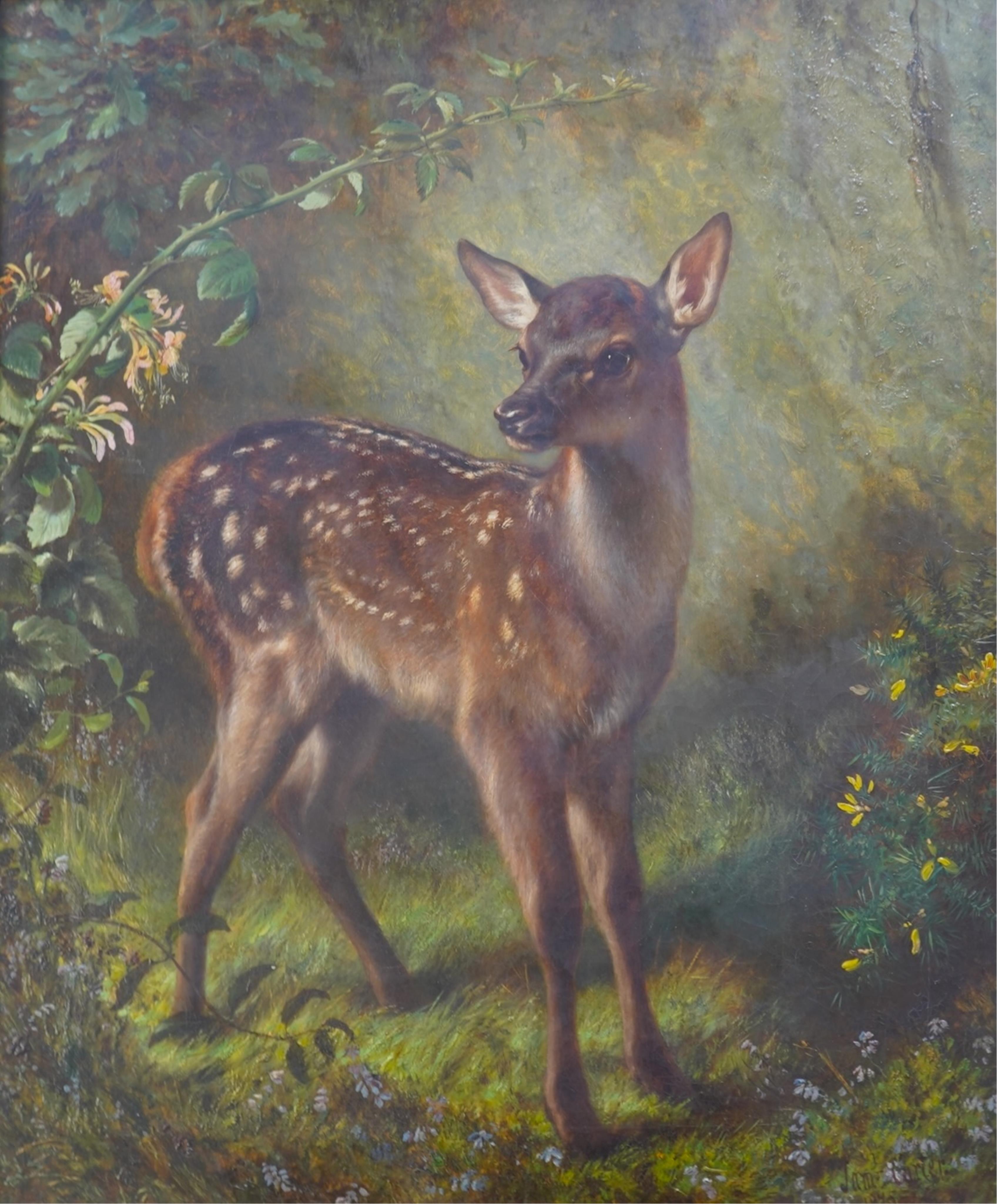 Samuel John Carter, (1835-1892), A fawn in a woodland landscape